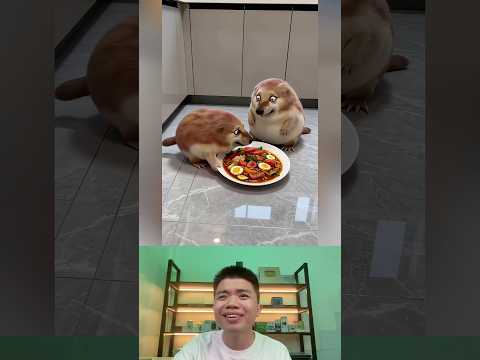 What The Dog Doing P193: PiPi LaBu Vào Bếp Nấu Ăn. thumbnail