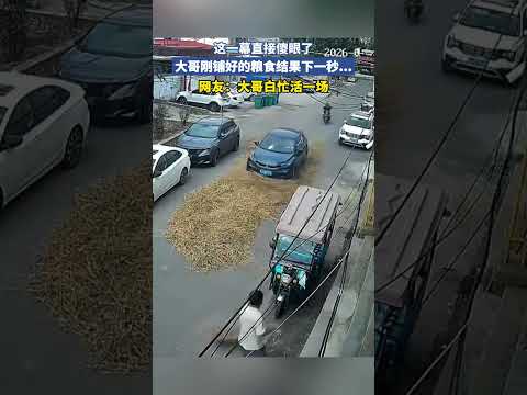 这一幕直接傻眼了，大哥刚铺好的粮食结果下一秒 thumbnail