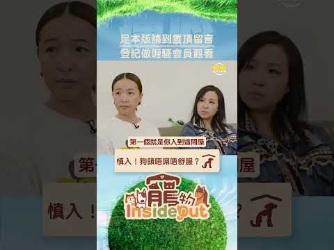 宣示主權咪就係咁樣咋嘛！（好像哪裡不對) #shorts thumbnail