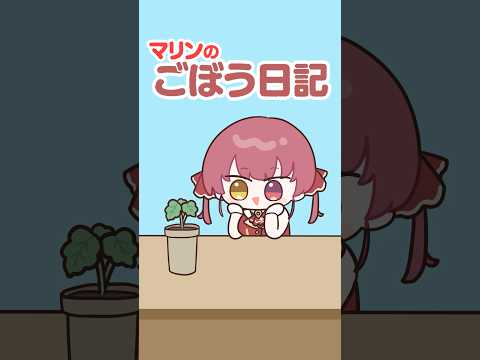 ゴボウ栽培キットに挑戦するマリン船長#shorts thumbnail
