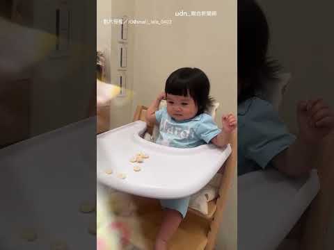 【吃貨寶寶】餅乾倒出來只有1顆 萌娃拍桌抗議超派XD｜妹妹｜親子｜家人｜餅乾｜搞笑｜可愛 thumbnail