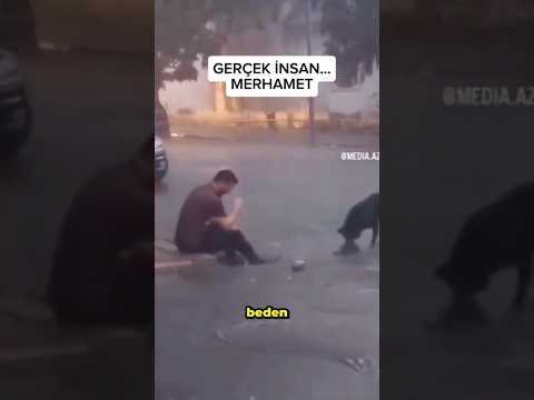 Yavru köpeği kurtarmak isterken yürekleri dağlayan adam thumbnail