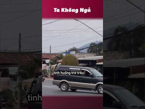 Những tình huống trớ trêu trên đường 🚗 #takhongngu thumbnail