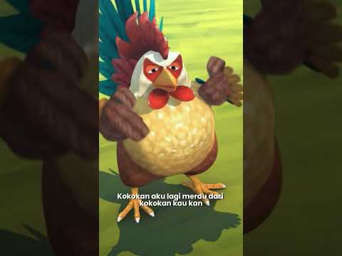 Gara-gara nak tunjuk siapa paling kuat berkokok, ayam lain pula yang jadi mangsa. 🐓 🐣 thumbnail