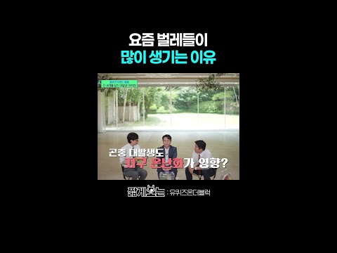 곤충 대발생의 가장 큰 원인ㄷㄷ #유퀴즈온더블럭 thumbnail