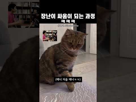 장난이 싸움이 되는 과정ㅋㅋ thumbnail