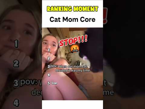 Cat being idiots part 130: Cat mom 🤣 #funnycat #funnypet #cutecat #cat #pets #shorts thumbnail
