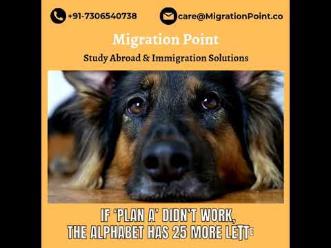 Don't worry if your Plan A didn't work, we are here for you! #studyabroad #canadaimmigration #study thumbnail
