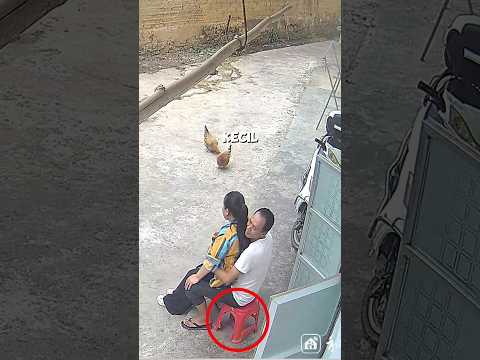 Kursi Ini Jadi Korban Cinta Mereka ? thumbnail