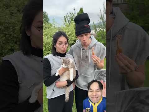 Hít mùi gà rán để ăn cơm thumbnail