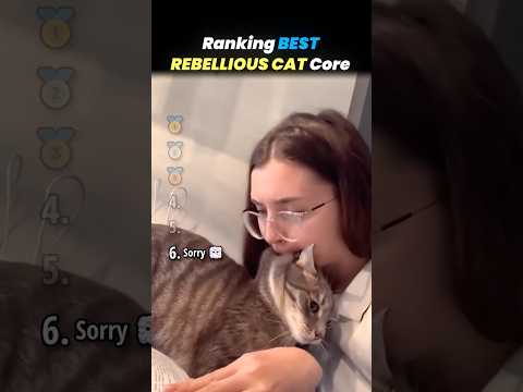 Ranking BEST REBELLIOUS CAT Core Moments!! 🐱⚔️ thumbnail