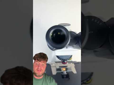 WELL I DID NOT EXPECT THIS 🎥Microscope.view #shorts thumbnail