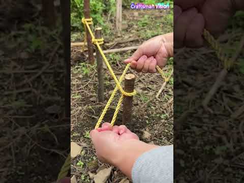 A practical knot tying technique for vegetable garden wooden frames thumbnail