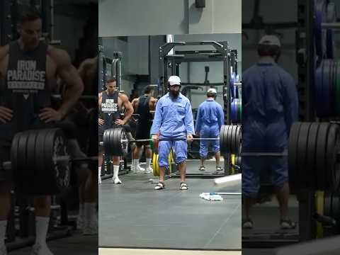 Don't Judge Me ELITE Powerlifter ANATOLY Pretends to be CLEANER in GYM #anatoly #fitness #gym thumbnail