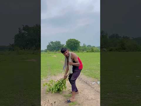गरीब गाँव वाले ने बनाई नई Pitch ❤️? #cricket #trending #viral #reels #shorts #foryou #ytshorts thumbnail