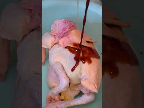 I made your favorite roast chicken. #exlittlebeans #funnyvideo #funnycats #cooking thumbnail
