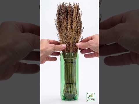 Reinforce the brush handle. thumbnail