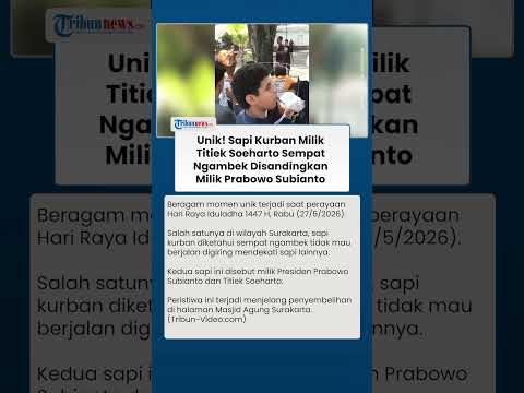 Prabowo dan Titiek Kompak Sumbang Sapi ke Masjid Agung Surakarta, Ini Momen Unik yang Tak Terduga thumbnail