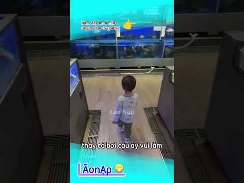 Hế lô cá 🤣 #laonap thumbnail