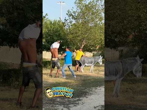 La burra 🫏 cariñosa 🥰🥰/ broma #funny #humor #viralvideo thumbnail