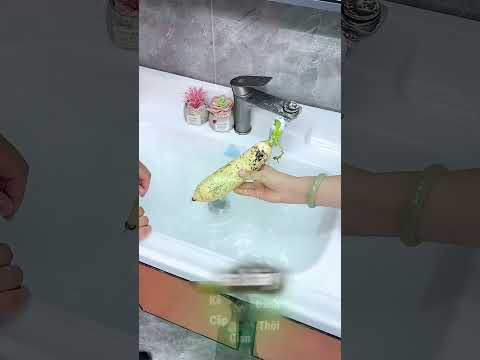 Khi Cái Khó Ló Cái... Củ Cải ? thumbnail
