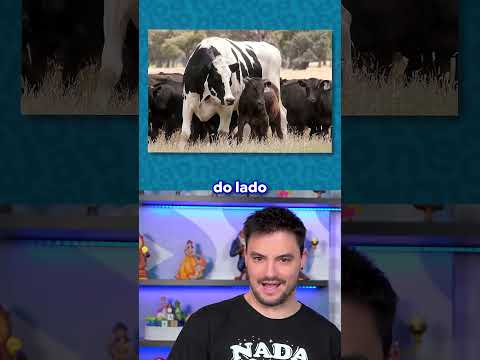 ELE EXISTE DE VERDADE... thumbnail