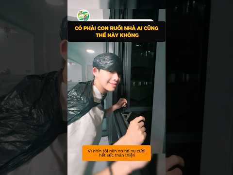 Anh chàng mở cửa cho con ruồi bay đi nhưng nó lại troll anh ta #shorts thumbnail