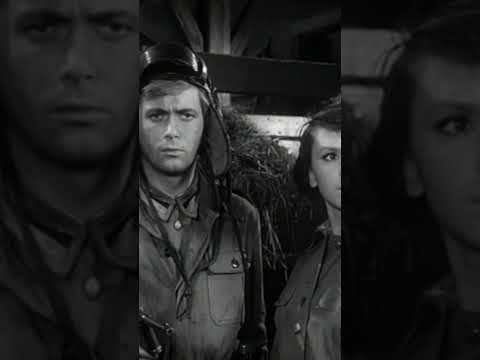 Czterej Pancerni i Pies - "Pikno Brunhilda" #polska #film #kinopolska #śmieszne #naekranie #tv thumbnail