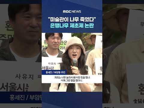 "미술관이 나무 죽였다"‥은행나무 제초제 논란 #Shorts (MBC뉴스) thumbnail