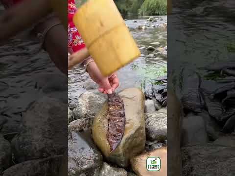 Using the power of a waterwheel to wash clothes. thumbnail