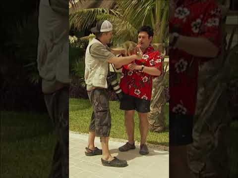 Why You Should Never Take Photos With Monkeys // LOL JUST FOR LAUGHS thumbnail