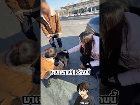 เมื่อเธอเจอหมาที่ถูกทิ้ง thumbnail