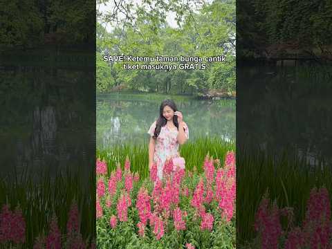 CANTIK KAN TAMAN BUNGANYA? 😍 | Klara Tania #shorts thumbnail