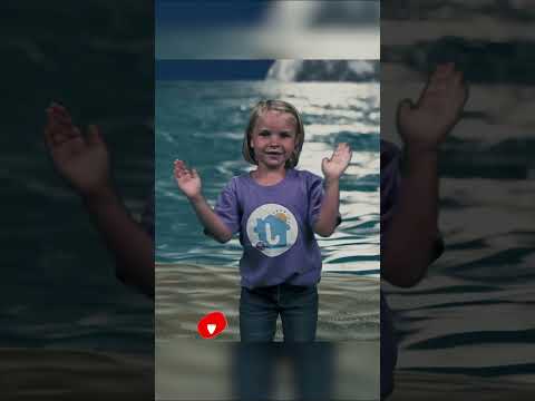 Five Senses #kidssong thumbnail