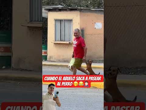Creo que van a anexar al firulais ?? #humor #viral #fyp #parati #perros #mascotas #pets #fail thumbnail