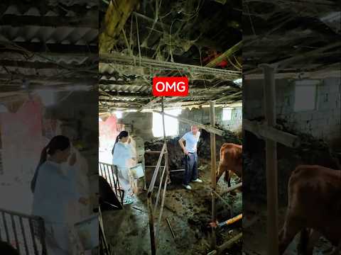 Sự hiểu nhầm khó giải thích thumbnail