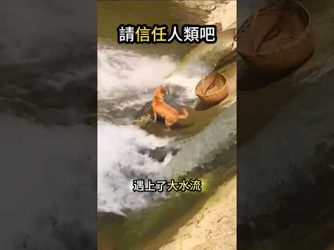 謝謝你的好心?但我未準備好? thumbnail