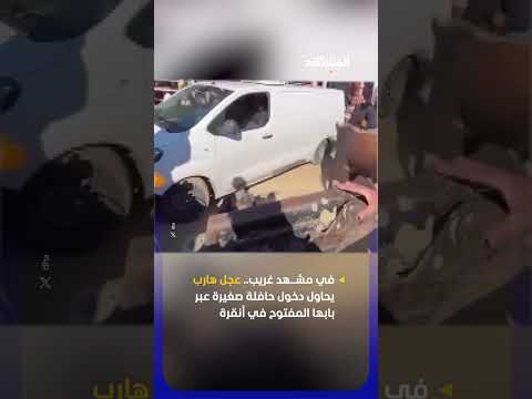 في مشهد غريب.. عجل هارب يحاول دخول حافلة صغيرة عبر بابها المفتوح في أنقرة thumbnail