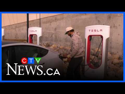 Tesla Motors Canada taking Manitoba to court thumbnail