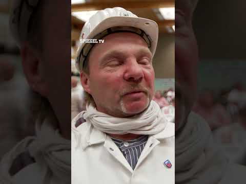 »Die Ergebnisse fehlen« | SPIEGEL TV Shorts thumbnail