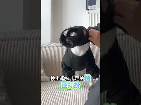 小狗變身特工撿玩具球 thumbnail