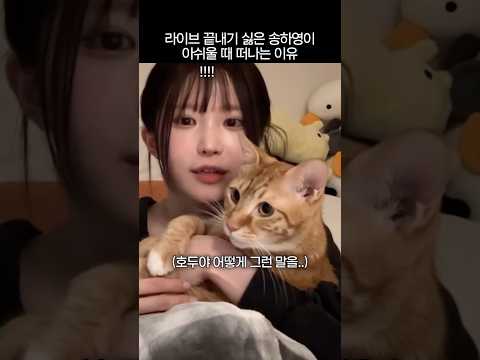 라이브 끝내기 싫은 송하영이 아쉬울 때 떠나는 이유 thumbnail