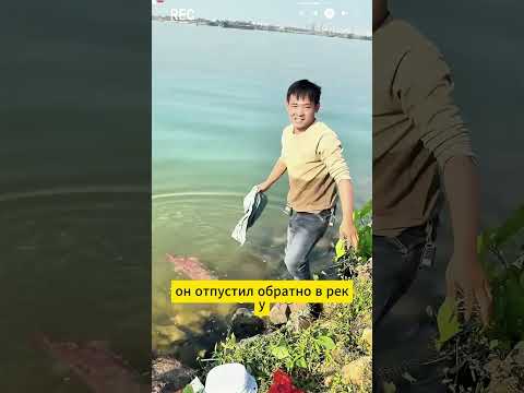 Саламдра thumbnail