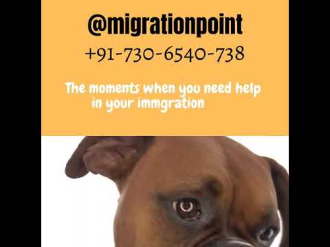 Sometimes you need professional help in your #immigration journey #visas #studyabroad #Canada #UK thumbnail