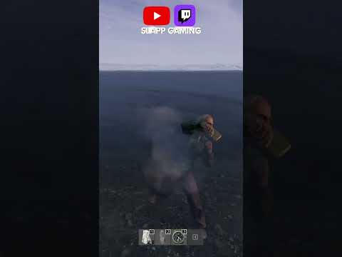 VOILÀ COMMENT ON TRAITE LES ANTI-FRANÇAIS SUR DAYZ thumbnail