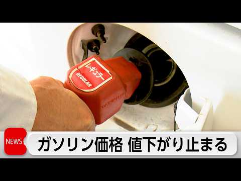 ガソリン価格横ばい 食品容器包装めぐり政府と業界団体が情報交換 thumbnail
