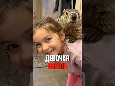 НАШЛА ТОЛСТЯКА у порога он сам залез ей НА СПИНУ ??? thumbnail