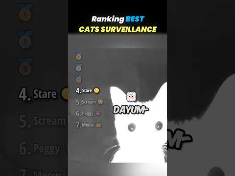 Ranking BEST CATS SURVEILLANCE VIDEOS Core Moments!! 🐱🎥 thumbnail