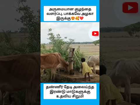 அருமையான குழந்தை வளர்ப்பு, பாக்கவே அழகா இருக்கு #shorts thumbnail