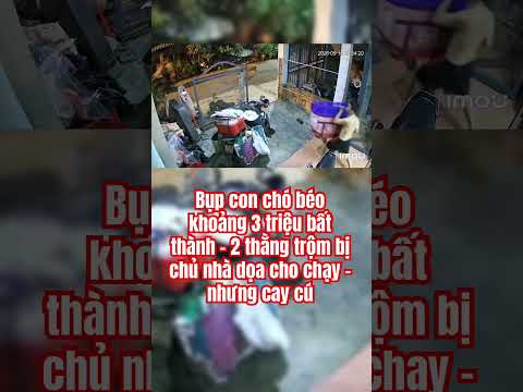 Định lụm gặp chủ nhà thumbnail